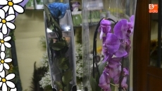 Floristería Peñaranda, el lugar ideal para un perfecto San Valentín