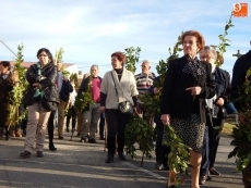 Foto 3 - 'La Borriquilla' recorre la villa escoltada por los niños tras la bendición de ramos de laurel