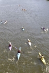 Foto 2 - Los aficionados disfrutan en la ribera del Tormes con el Campeonato Regional de Primavera