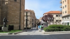 Ciudadanos por la Defensa del Patrimonio reclama reponer los árboles perdidos en la Alamedilla