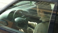 Los conductores tienen mala memoria