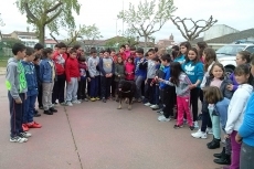 Los alumnos del CEIP Liminares conocen la labor de la Guardia Civil en la sociedad
