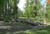 Foto 2 - Una montaña de troncos como resultado de la profunda tala