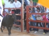 Foto 2 - El Toro de San Miguel Arcángel resulta de nuevo un éxito