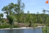 Foto 2 - Continúa la macrotala de árboles, ahora también en la isla de El Picón