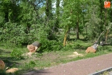 Foto 4 - Una montaña de troncos como resultado de la profunda tala