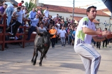 Foto 6 - El Toro de San Miguel Arcángel resulta de nuevo un éxito