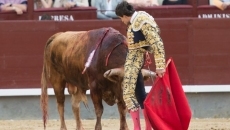 Foto 5 - Juan del Álamo recibe la única ovación en Madrid en un festejo muy deslucido