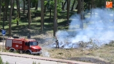 Foto 3 - Un incendio afecta a la Alameda Vieja