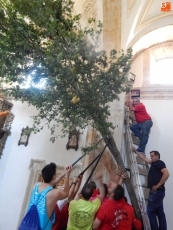 Foto 3 - Un enorme ramo como ofrenda a la Virgen de los Remedios 