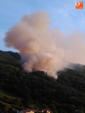 Foto 4 - Los bomberos controlan en tiempo récord un incendio que amenzaba el Castañar de Béjar