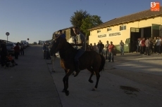 Foto 6 - El Pabellón se queda pequeño para disfrutar de las actividades de la VI Feria del Caballo