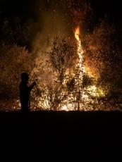 Foto 4 - Un grupo de vándalos provoca un espectacular incendio en la Isla del Soto de Santa Marta