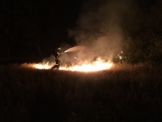 Foto 3 - Un grupo de vándalos provoca un espectacular incendio en la Isla del Soto de Santa Marta