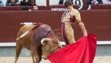 El novillero salmantino Alejandro Marcos deja impronta sin espada en su debut en Las Ventas