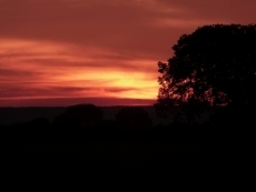 Vive el aquí y el ahora