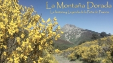 La Memoria de los Robles y las Piedras