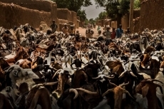 ‘Las vidas del agua’, 27 imágenes que reflejan el problema del agua y la desnutrición en...