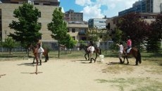 Concursos y divertidos juegos en las fiestas del Colegio Maristas