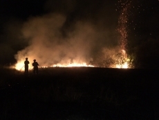 Un grupo de v&aacute;ndalos provoca un espectacular incendio en la Isla del Soto de Santa Marta