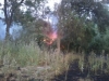 Foto 2 - Nuevo incendio intencionado en la Isla del Soto con 3.500 metros cuadrados calcinados