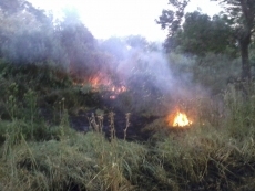 Las llamas vuelven a calcinar la Isla del Soto. Fotos: IU Santa Marta