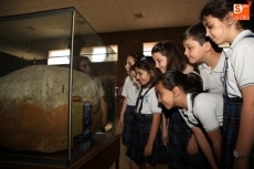 Foto 6 - Más de 700 escolares han participado en las visitas guiadas a la Sala de las Tortugas