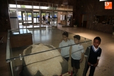 Foto 3 - Más de 700 escolares han participado en las visitas guiadas a la Sala de las Tortugas