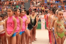 Foto 6 - Espectáculo visual y deportivo de las gimnastas del Club Rítmica Salamanca a favor de Aviva