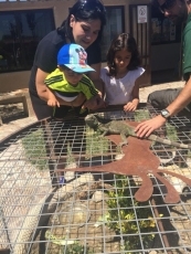 Foto 4 - Los más pequeños se divierten en su visita al centro de Aves de Fresno El Viejo