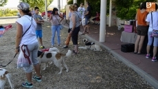 Foto 6 - Huerta Otea continúa con sus fiestas con un concurso de mascotas