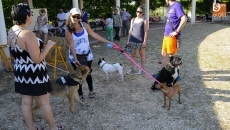 Foto 4 - Huerta Otea continúa con sus fiestas con un concurso de mascotas