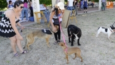 Foto 3 - Huerta Otea continúa con sus fiestas con un concurso de mascotas