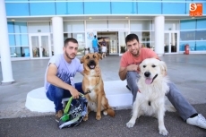 Éxito de E. Leclerc con su desfile canino para todas las razas