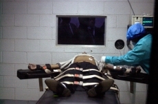 Cómplices de la barbarie