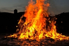 Mariposas blancas (I)