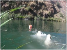 Mina de Golpejas, de antigua galería de extracción de estaño a laguna artificial para el baño