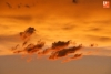 Foto 2 - 'El cielo salmantino en llamas', imágenes de la tormenta de verano