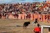 Foto 2 - Recortes, saltos, mucha animación y algún susto en las vaquillas