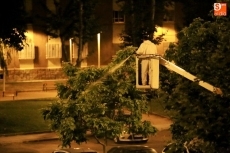 Foto 5 - Fumigan de noche en varias calles del barrio de San José