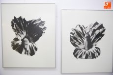 Foto 4 - Juan Hidalgo expone en la Galería Adora Calvo su obra ‘Ayer y hoy’