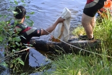 Foto 6 - Los Bomberos realizan una inspección del fondo del río en la zona de la cuerda de La Pesquera