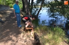 Foto 5 - Los Bomberos realizan una inspección del fondo del río en la zona de la cuerda de La Pesquera