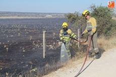 Foto 4 - Un incendio calcina en Vitigudino cerca de cinco hectáreas de pasto