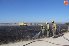 Foto 3 - Un incendio calcina en Vitigudino cerca de cinco hectáreas de pasto