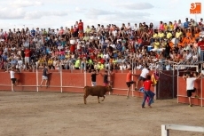 Foto 6 - Recortes, saltos, mucha animación y algún susto en las vaquillas