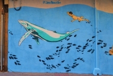 El mallorquín Joan Aguiló acerca el fondo del mar a los vecinos del barrio del Oeste