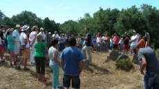 Arqueologías (vuelta a lo primordial)