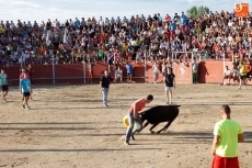 Recortes, saltos, mucha animaci&oacute;n y alg&uacute;n susto en las vaquillas