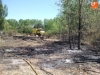 Foto 2 - Extinguido un incendio que se acercó a las casas de Pelabravo